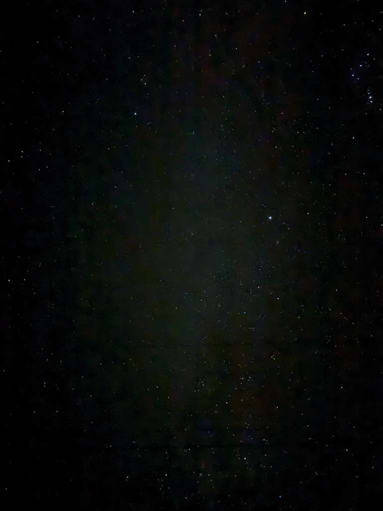 Stars scattered across the dark night sky above the estate