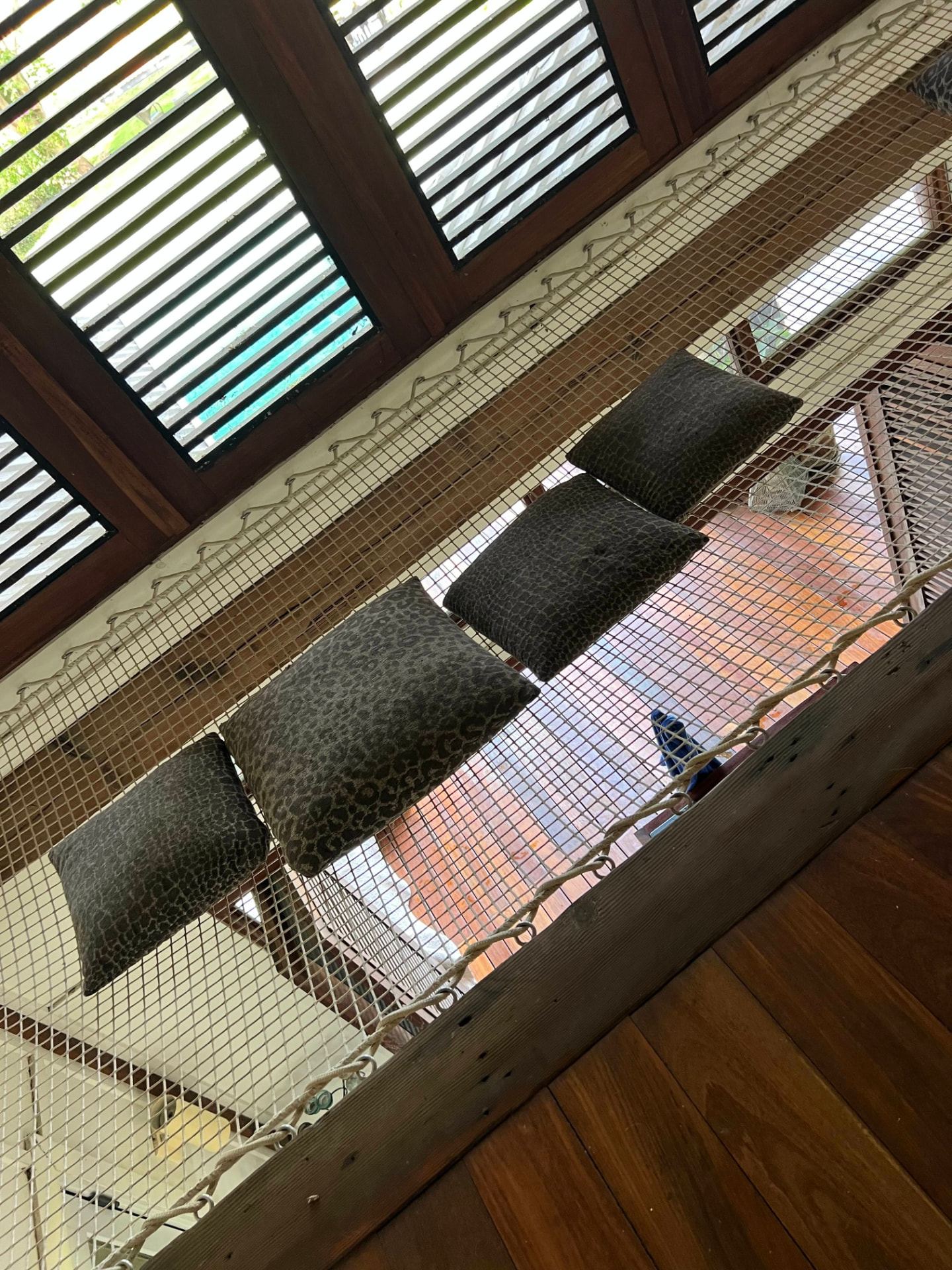 Rope net sky couch with cushions suspended above the main house living room beside louvred windows