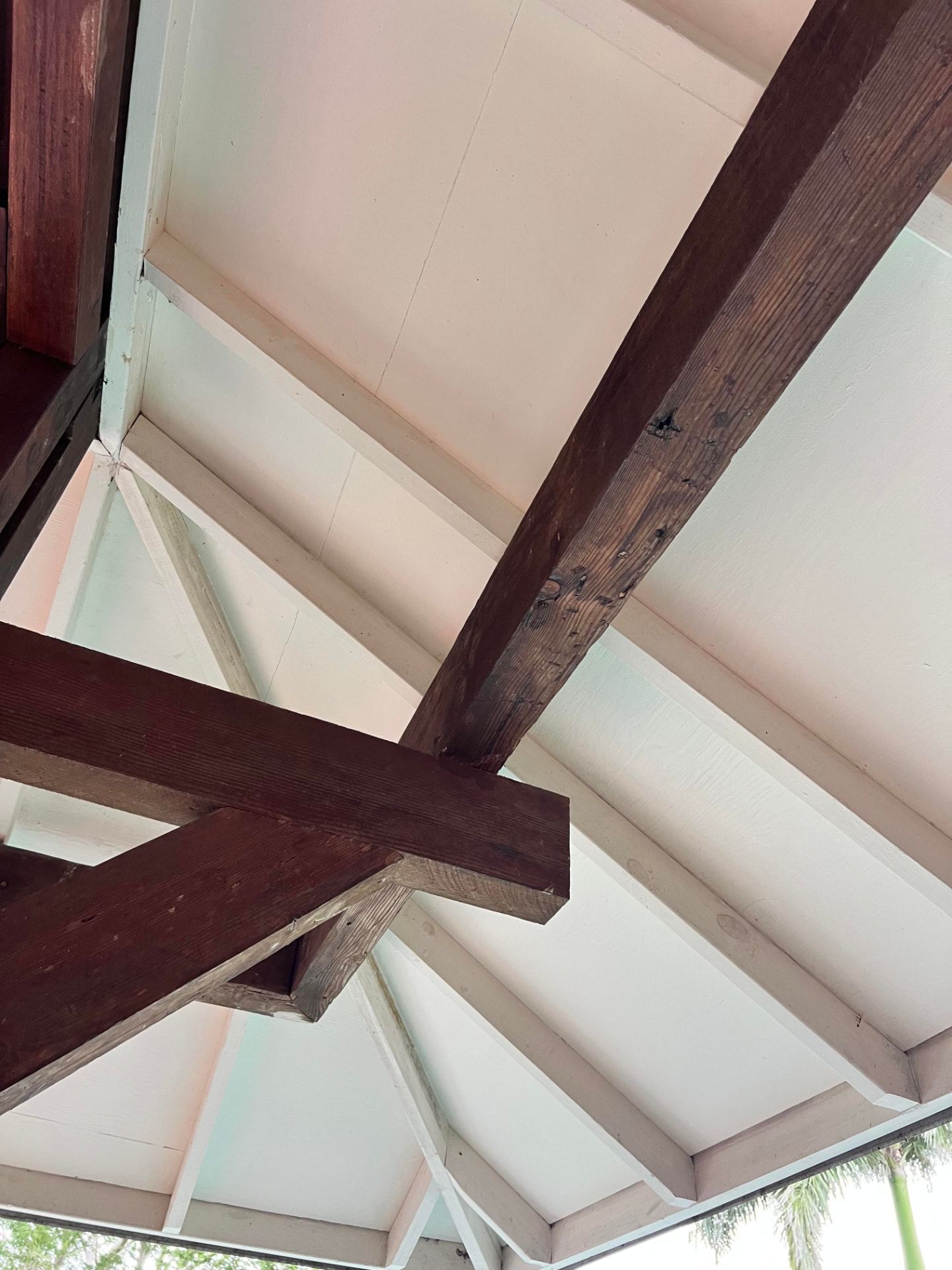 Timber roof trusses and joinery detail seen from below